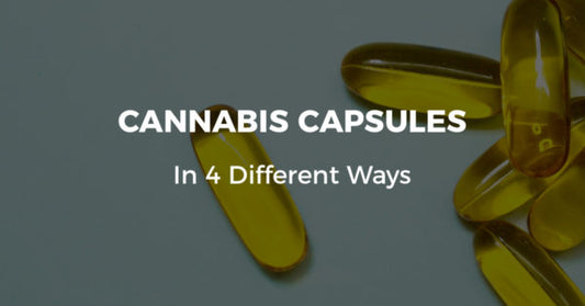 Cannabis Capsules: 4 Ways to Make Them